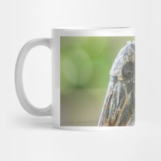 Up close with Wood stork Mug